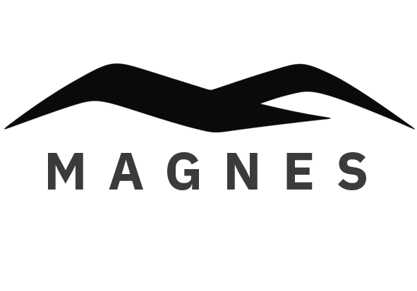 Magnes Motors India Private Limited